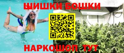 сатива Будённовск