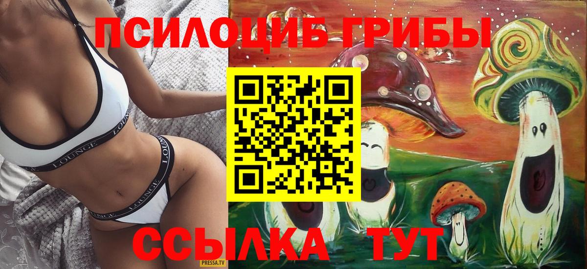 Псилоцибиновые грибы Psilocybine cubensis  Псилоцибиновые грибы мицелий  Вход с VPN  Нижневартовск 