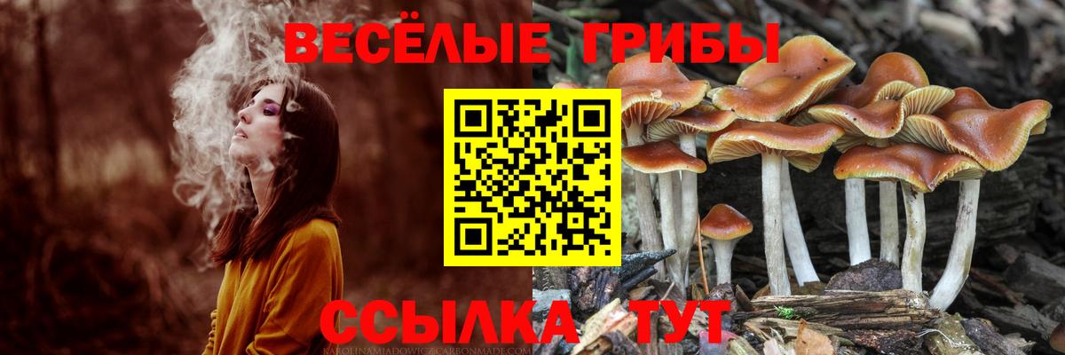 Галлюциногенные грибы Cubensis Нижневартовск